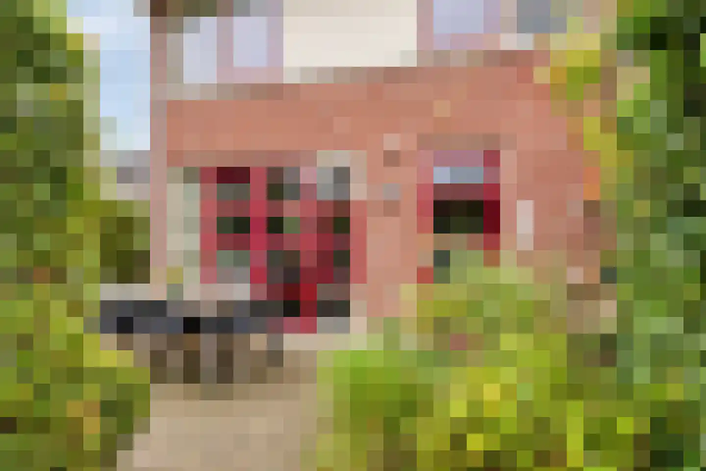 De Teuge 17 Zutphen thumbnail 4