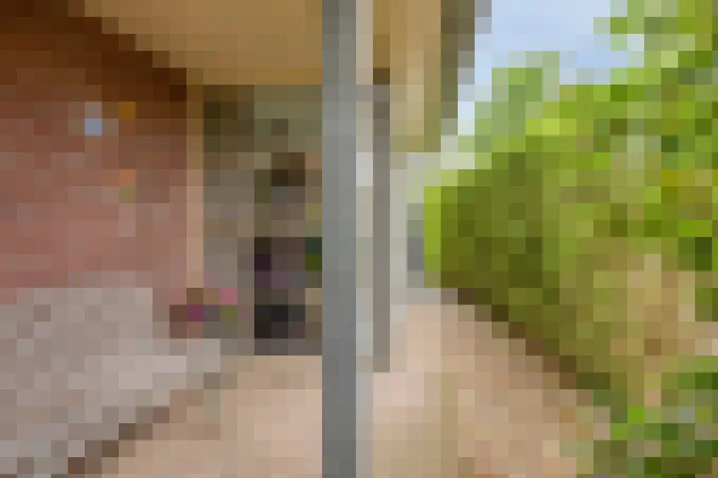 De Teuge 17 Zutphen thumbnail 8