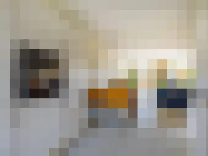 De Teuge 29 Zutphen thumbnail 10