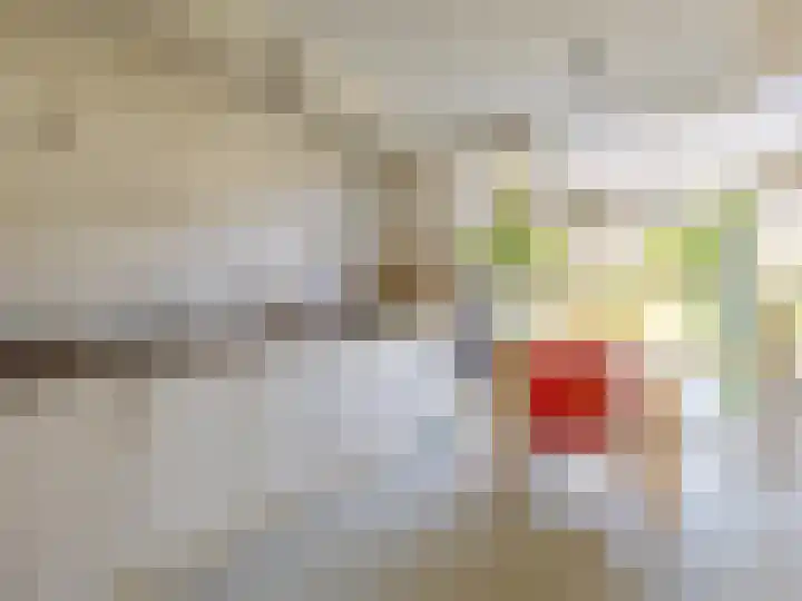 De Teuge 29 Zutphen thumbnail 11