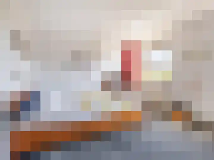 De Teuge 29 Zutphen thumbnail 17