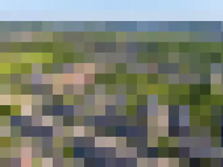 De Teuge 29 Zutphen thumbnail 34