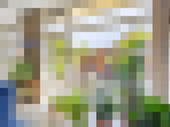 De Teuge 29 Zutphen thumbnail 8