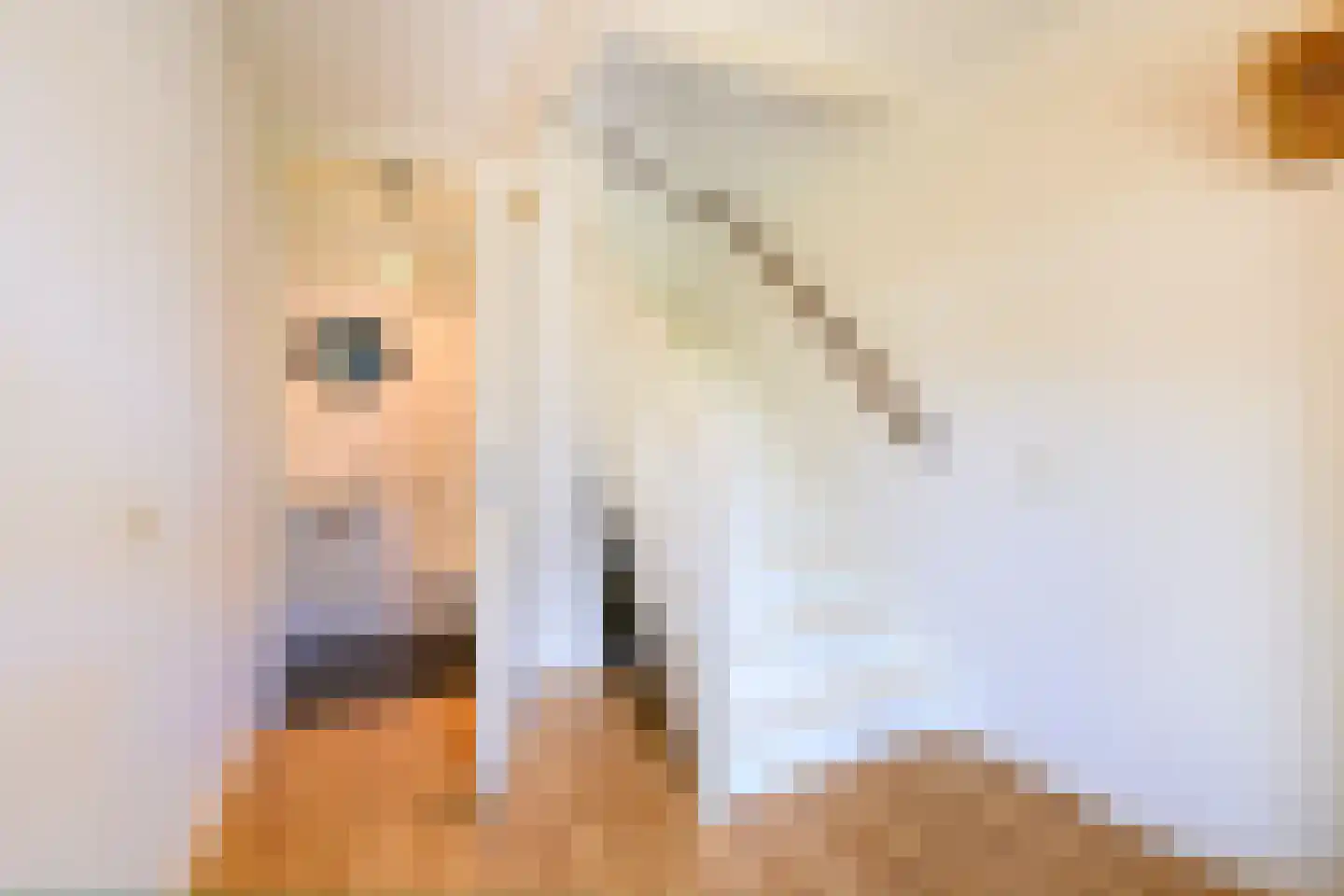 De Teuge 35 Zutphen thumbnail 12