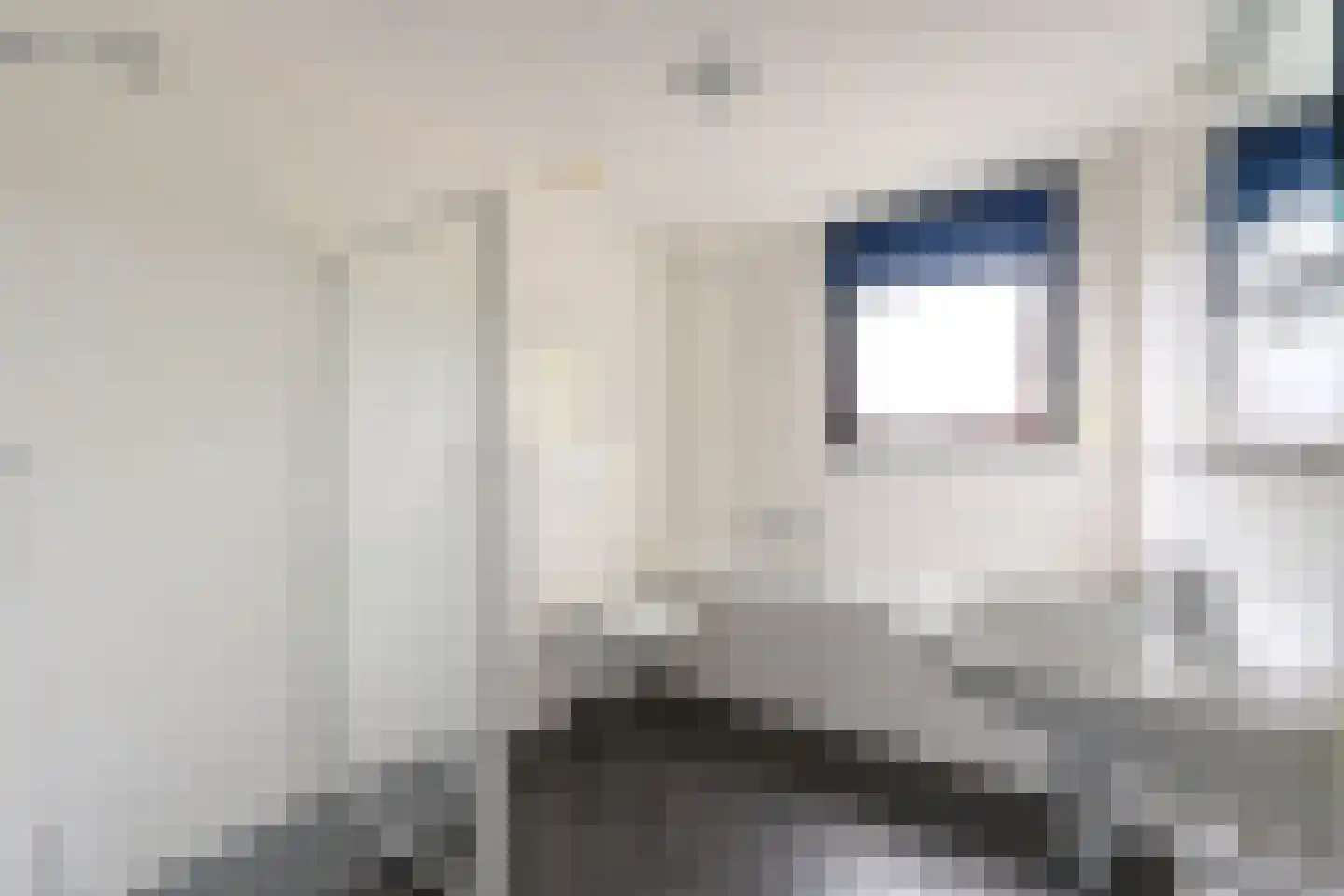 De Teuge 35 Zutphen thumbnail 17