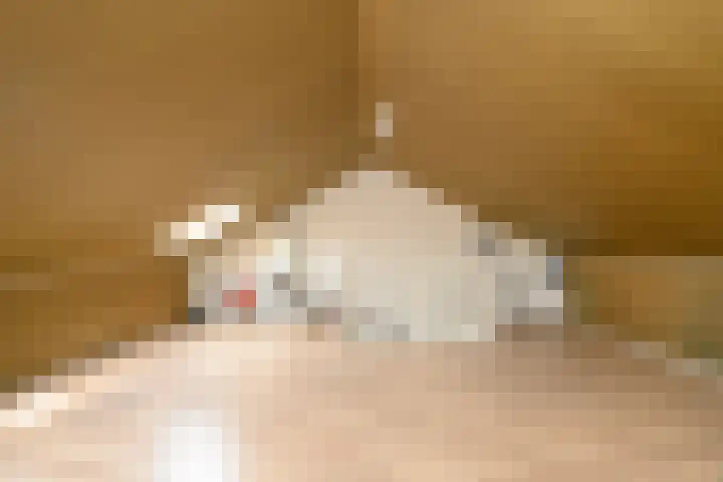 De Teuge 35 Zutphen thumbnail 20