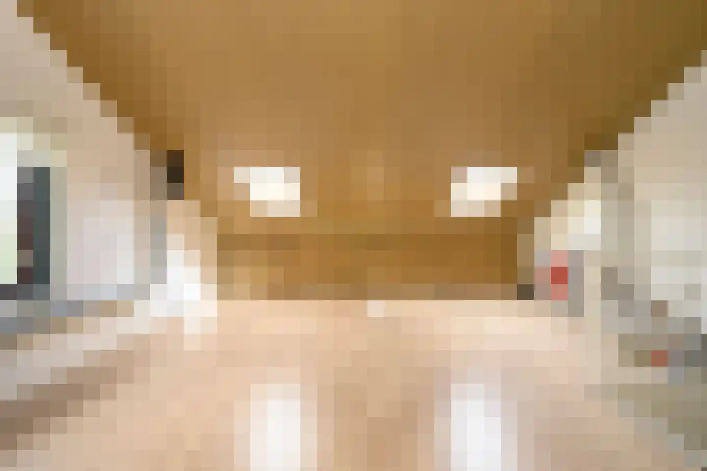 De Teuge 35 Zutphen thumbnail 21