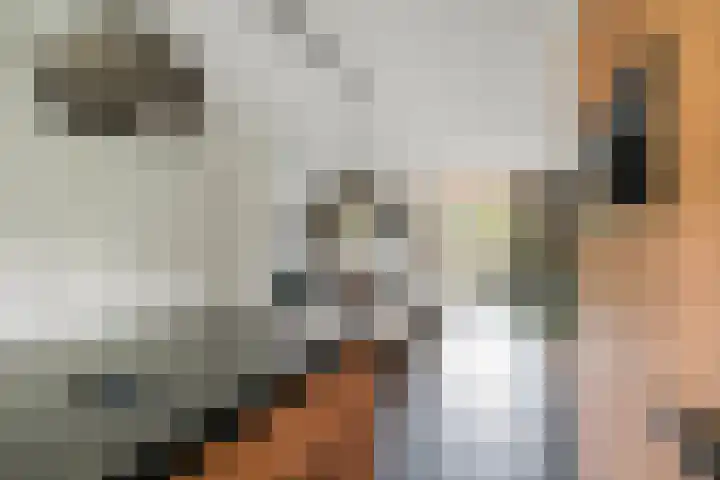 De Teuge 43 Zutphen thumbnail 13