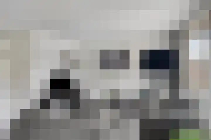 De Teuge 43 Zutphen thumbnail 16