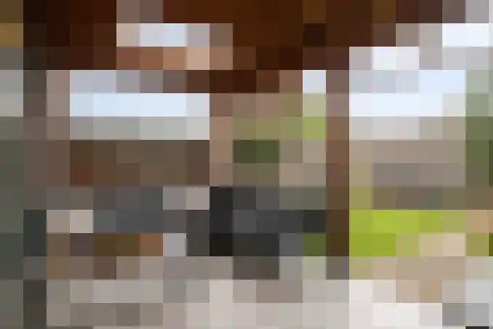 De Teuge 43 Zutphen thumbnail 20