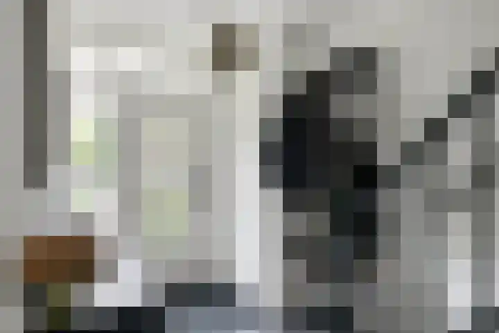 De Teuge 43 Zutphen thumbnail 22