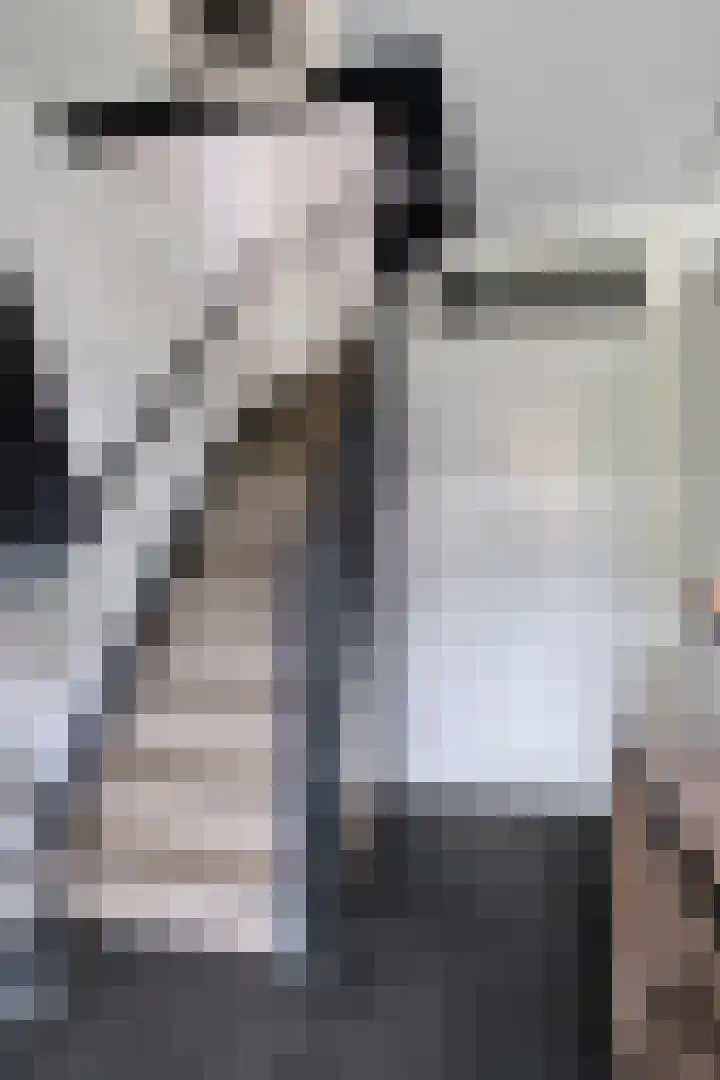 De Teuge 43 Zutphen thumbnail 23