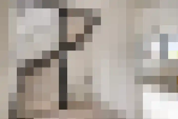 De Teuge 43 Zutphen thumbnail 24