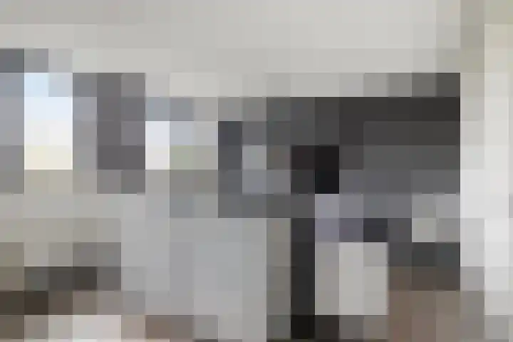 De Teuge 43 Zutphen thumbnail 27
