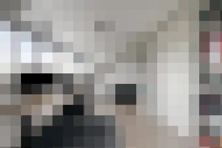 De Teuge 43 Zutphen thumbnail 35