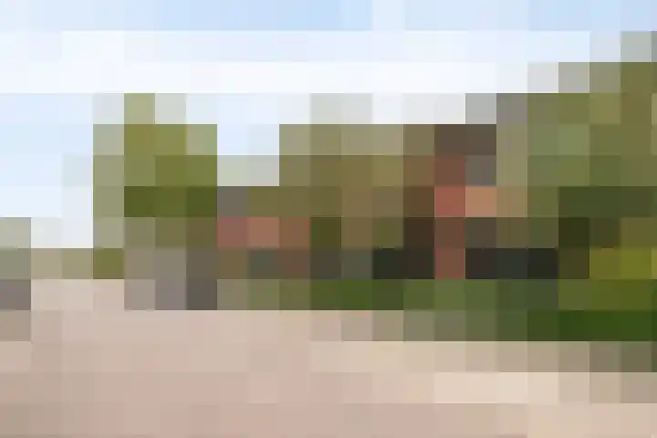 De Teuge 43 Zutphen thumbnail 40
