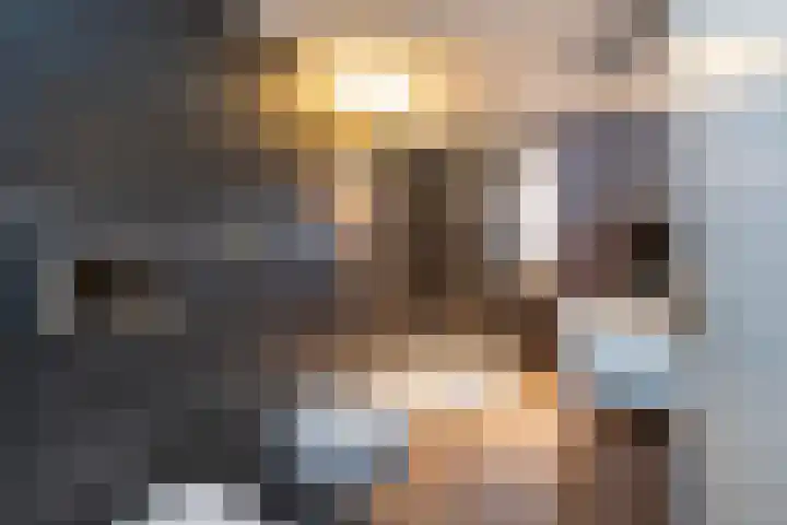 De Teugel 1 Biddinghuizen thumbnail 18