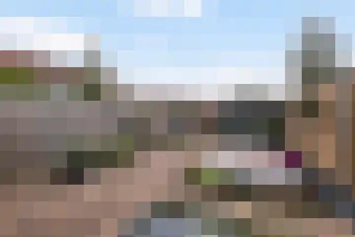 De Teugel 1 Biddinghuizen thumbnail 23