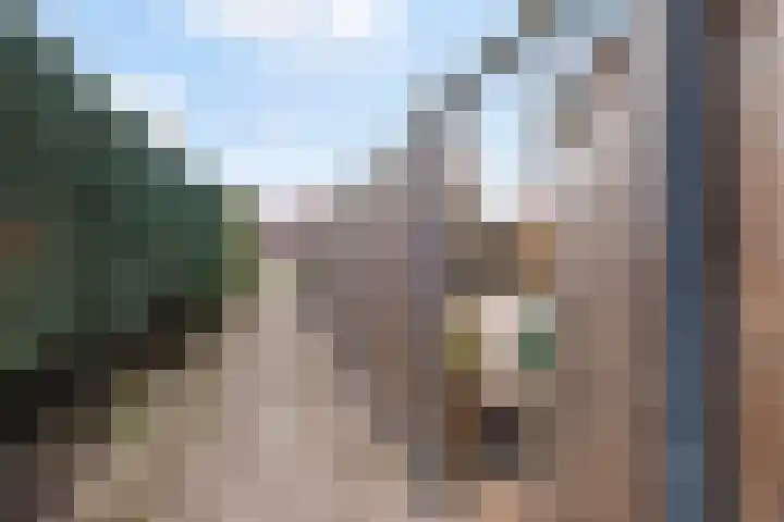 De Teugel 1 Biddinghuizen thumbnail 24