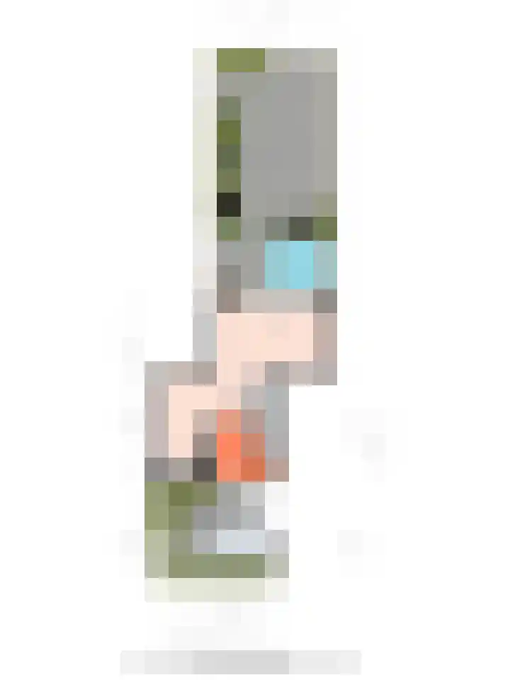 De Teugel 1 Biddinghuizen thumbnail 27