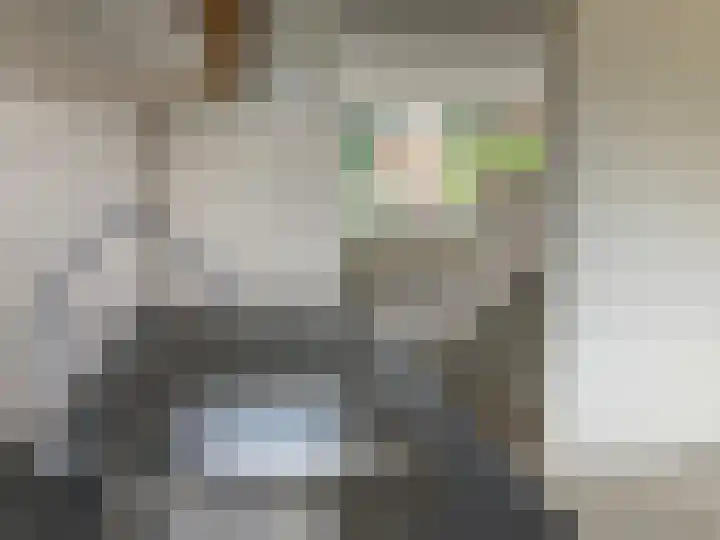 De Teugel 2 Biddinghuizen thumbnail 11
