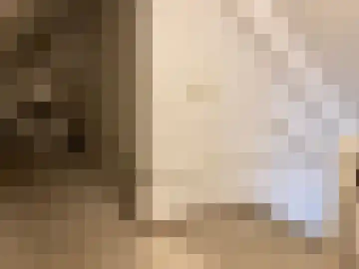 De Teugel 2 Biddinghuizen thumbnail 24