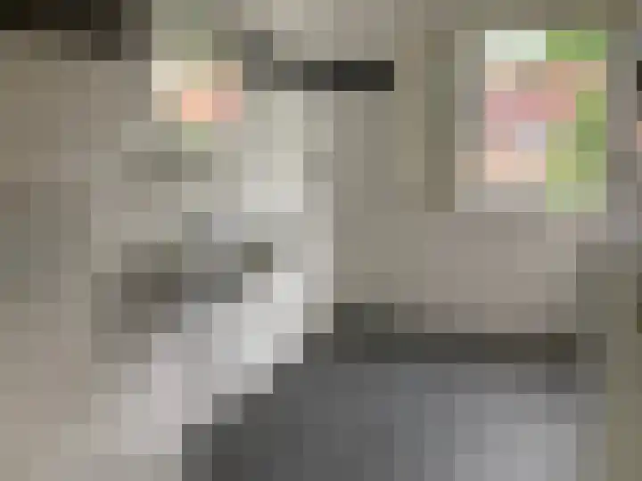 De Teugel 9 Biddinghuizen thumbnail 21