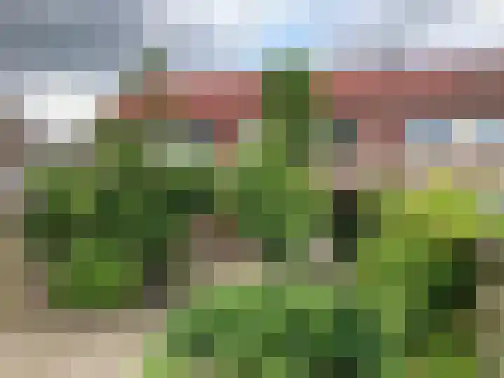De Teugel 9 Biddinghuizen thumbnail 28