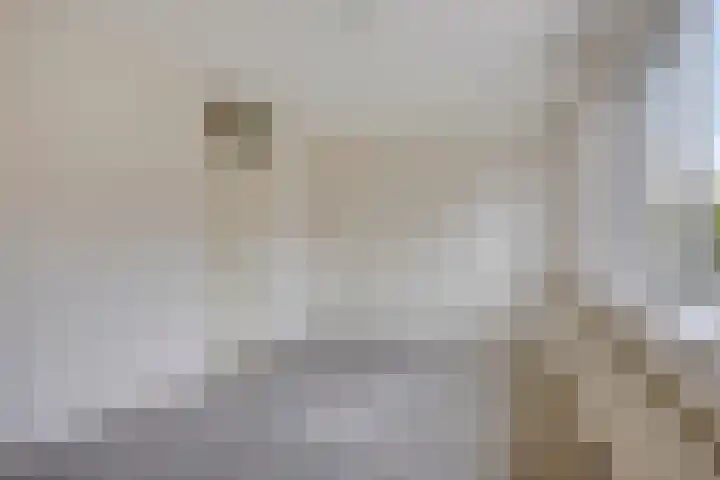 De Thijmenstoren 12 Rhenen thumbnail 17