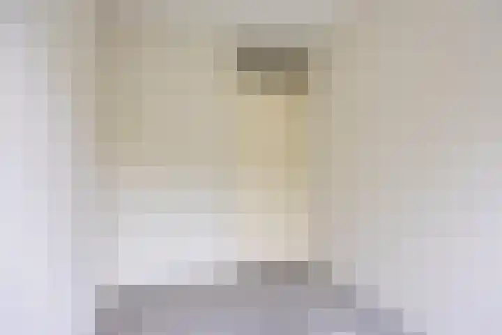 De Thijmenstoren 12 Rhenen thumbnail 23