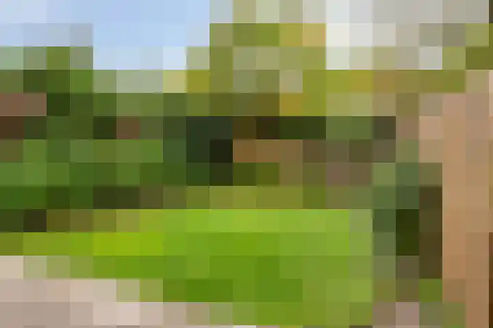 De Thijmenstoren 12 Rhenen thumbnail 28