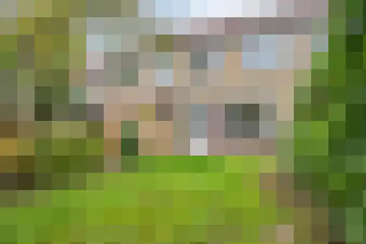 De Thijmenstoren 12 Rhenen thumbnail 30