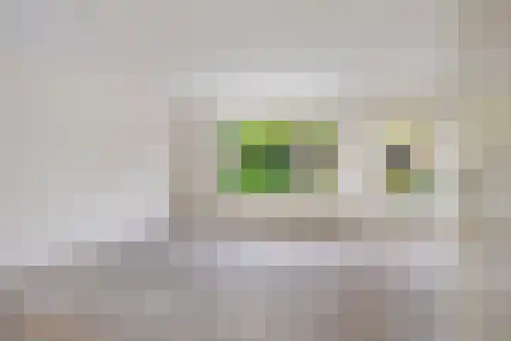 De Thijmenstoren 12 Rhenen thumbnail 8