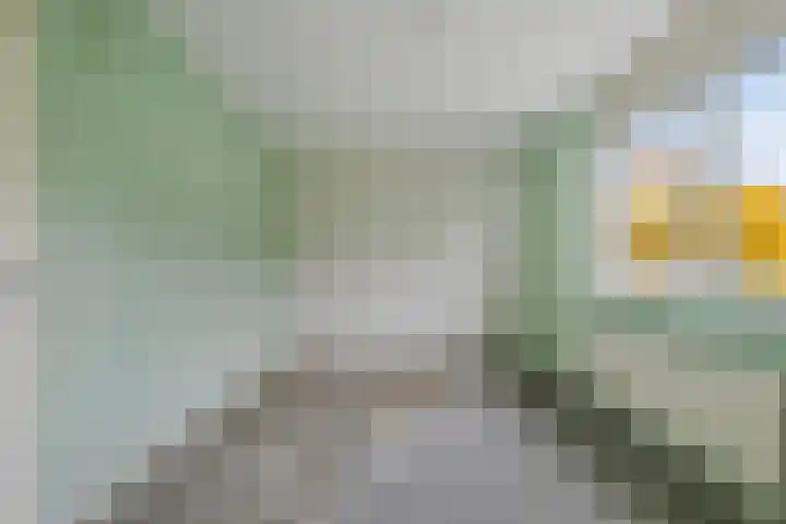 De Thijmenstoren 2 Rhenen thumbnail 15