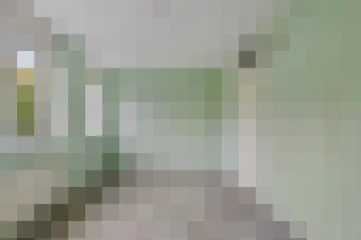 De Thijmenstoren 2 Rhenen thumbnail 16