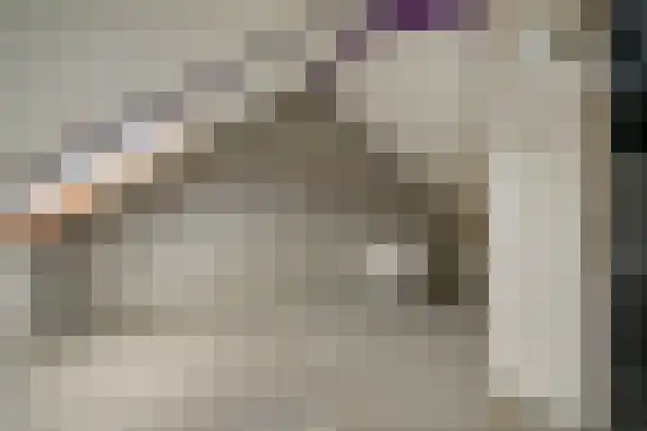 De Thijmenstoren 2 Rhenen thumbnail 24