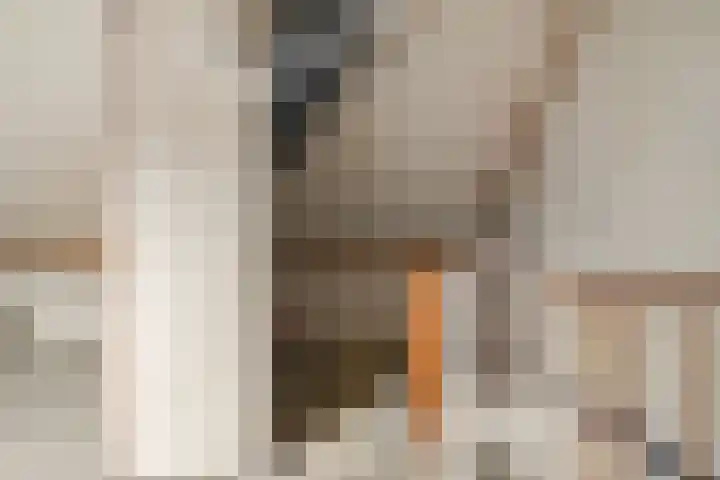 De Thijmenstoren 2 Rhenen thumbnail 26