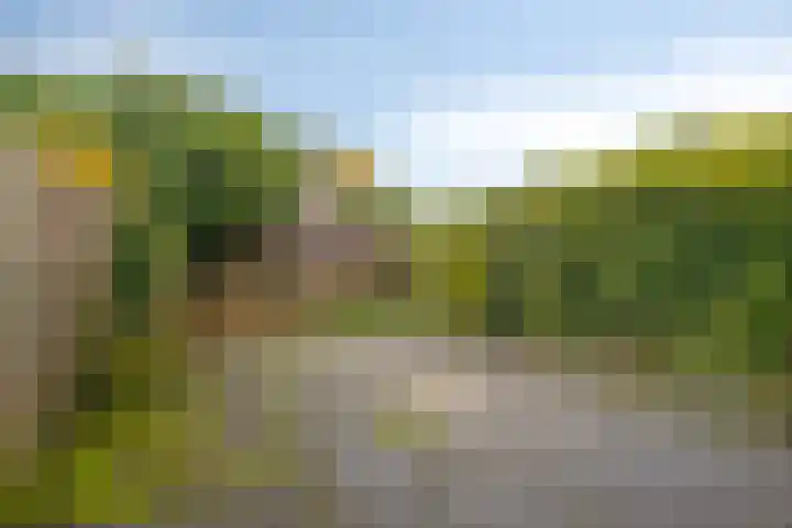 De Thijmenstoren 2 Rhenen thumbnail 28