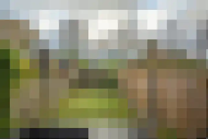 De Thun 39 Heerlen thumbnail 22