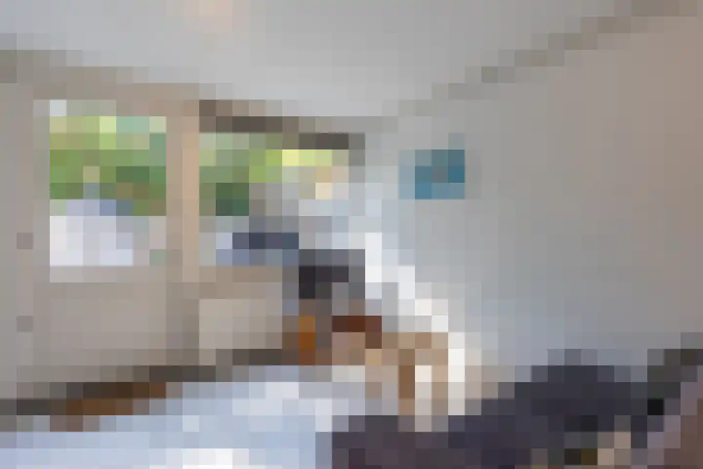 De Thun 71 Heerlen thumbnail 20