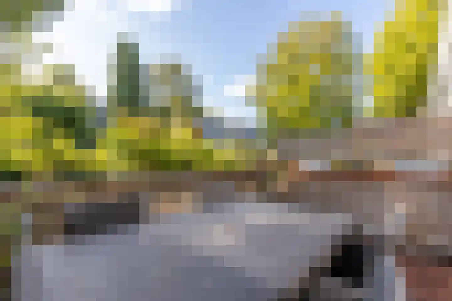 De Thun 71 Heerlen thumbnail 21