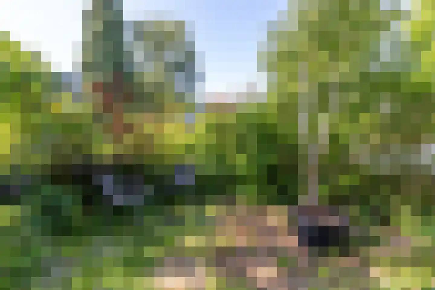 De Thun 71 Heerlen thumbnail 24