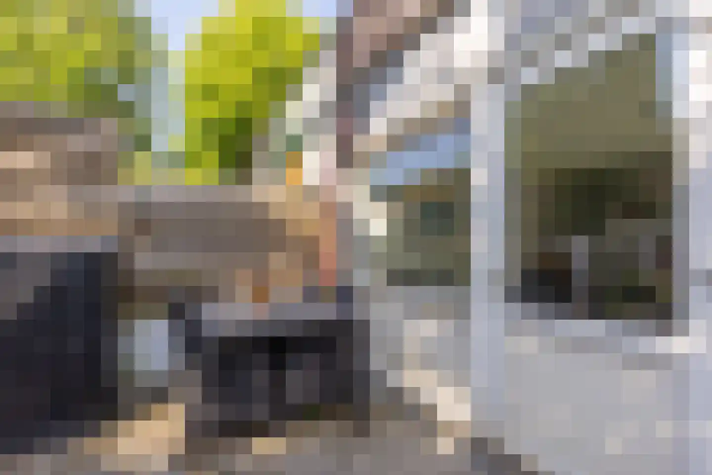 De Thun 71 Heerlen thumbnail 27
