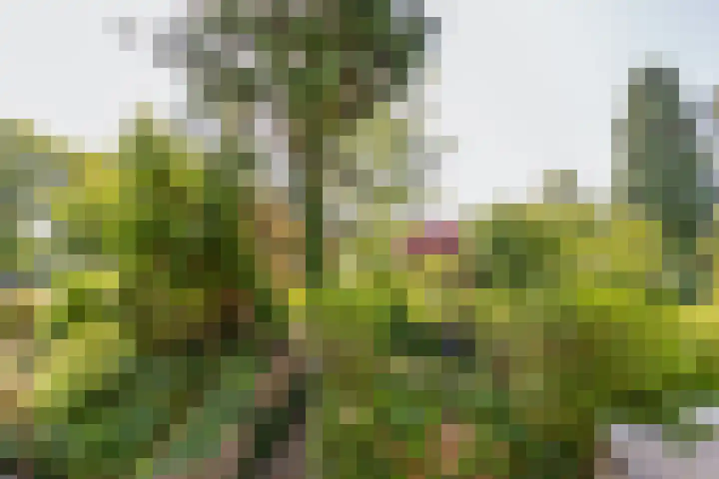 De Thun 71 Heerlen thumbnail 28