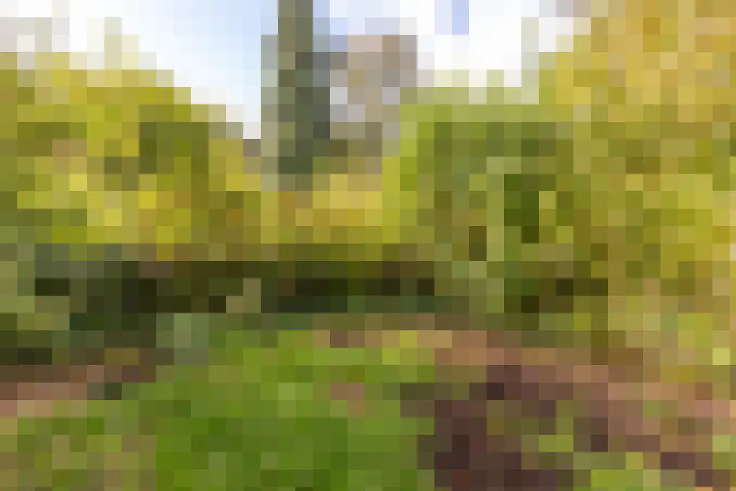 De Thun 71 Heerlen thumbnail 32