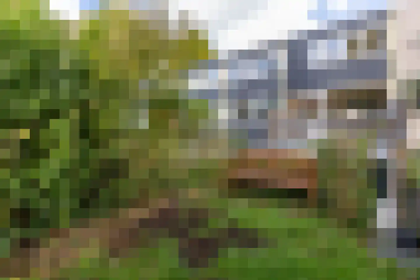 De Thun 71 Heerlen thumbnail 33