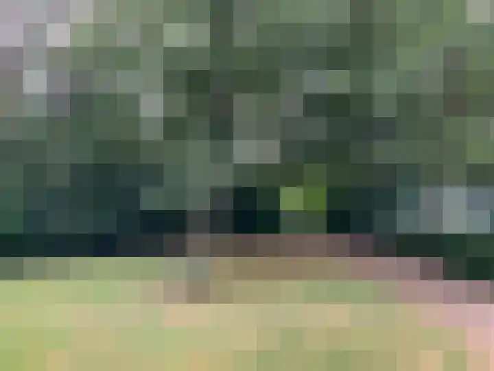 De Tichel 119 Heerlen thumbnail 17