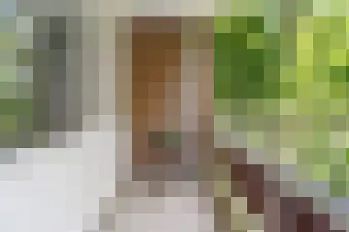 De Tichel 128 Heerlen thumbnail 4