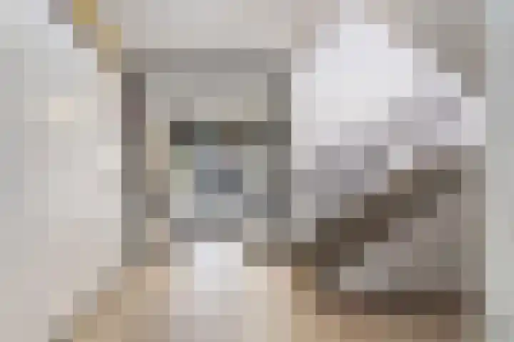 De Tichel 128 Heerlen thumbnail 7