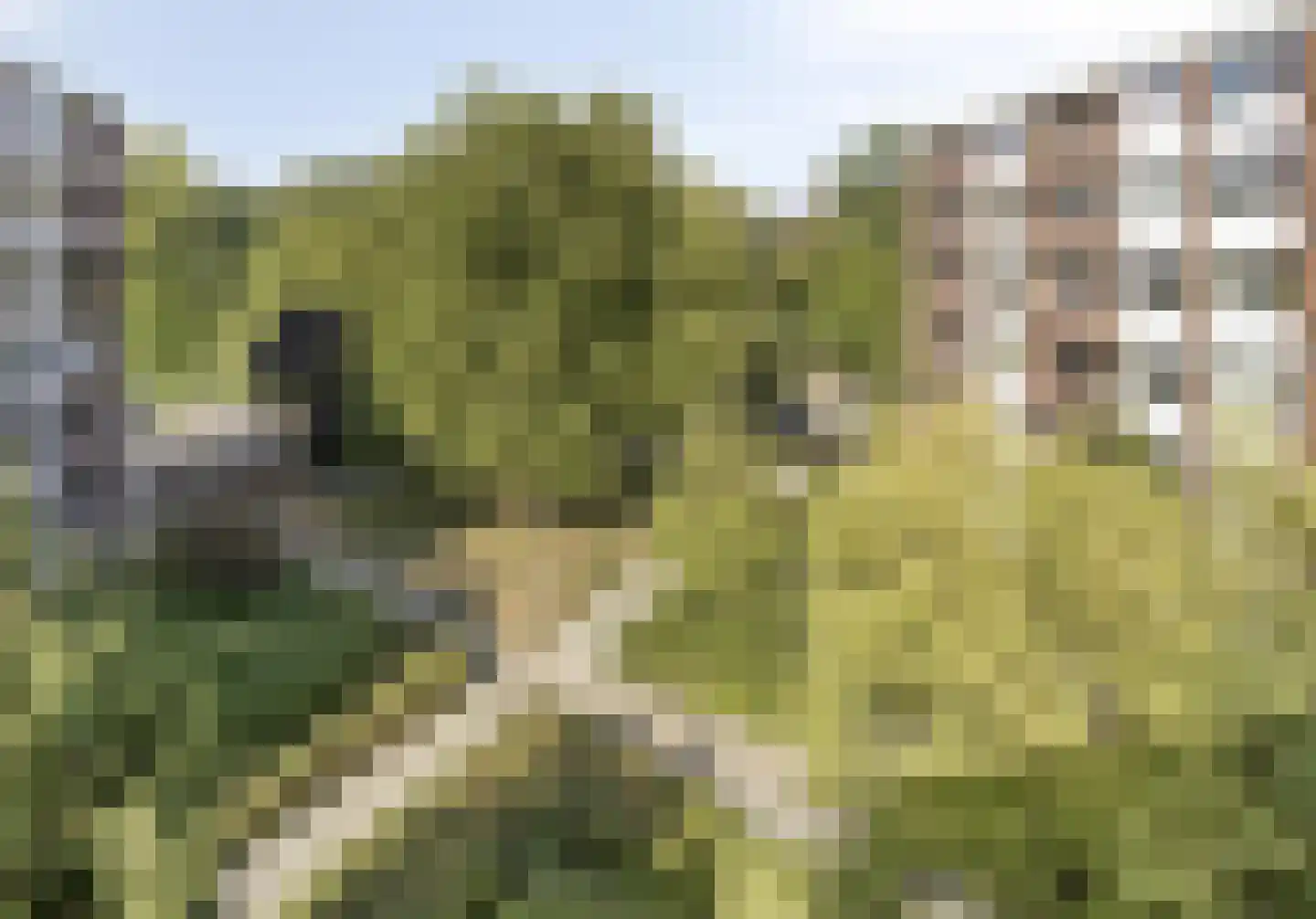 De Tichel 64 Heerlen thumbnail 19